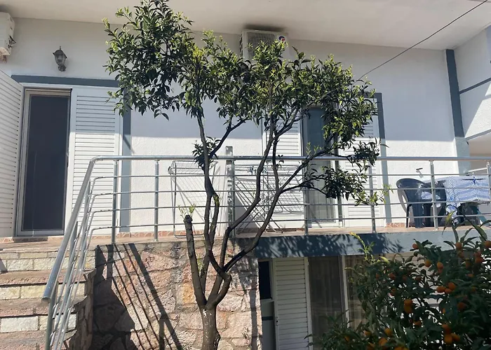 Ultra * 卡萨米尔