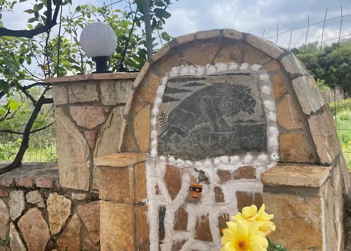 Ultra * 卡萨米尔